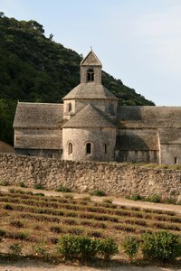 Senanque, Provence