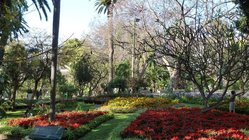 Botanischer Garten auf Madeira