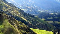 Blick auf die Valle del Cocora, Kolumbien 