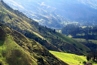 Blick auf die Valle del Cocora, Kolumbien 