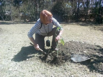 Wukro Baum pflanzen, Berichte von unterwegs Äthiopien