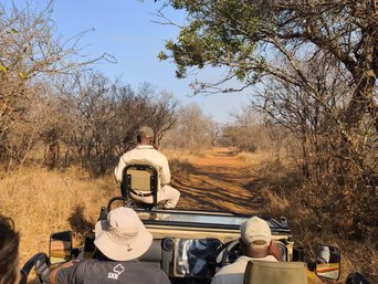 Im Jeep auf Safari im privaten Wildreservat in Südafrika