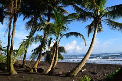 Pazifik, Berichte von unterwegs Costa Rica