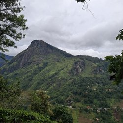 Ausblick vom Little Adam’s Peak