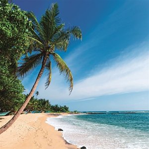 Strand auf Sri Lanka