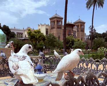 Blick auf den Plaza de América in Sevilla in Andalusien 