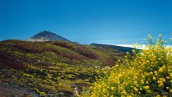 Aussicht Teneriffa, Teneriffa