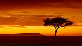 Sonnenuntergang in Kenia