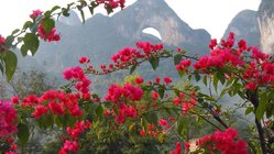 Landschaft mit Blumen, China