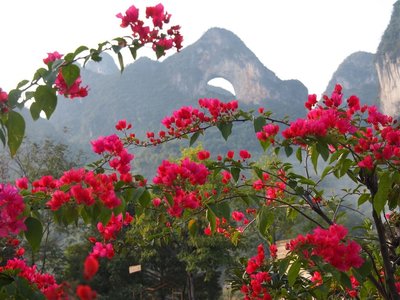 Landschaft mit Blumen, China