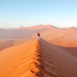 Namib Wüste, Namibia