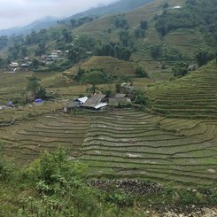 Reisfelder, Vietnam