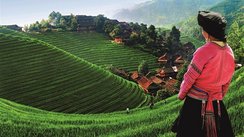 China, Blick auf Reisefelder