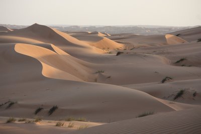 Wüste, Oman