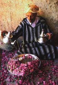 Tee trinken, Meknes