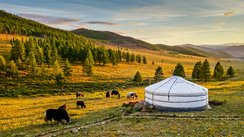 Steppe mit Zelt bei Sonnenuntergang, Mongolei 