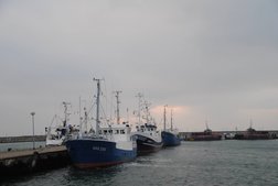 Hafen Sassnitz