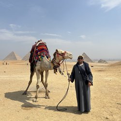 Ein Mann und sein Kamel vor den Pyramiden