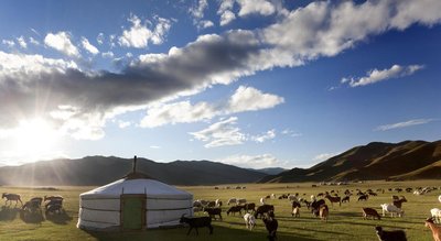Tiere in der Mongolei