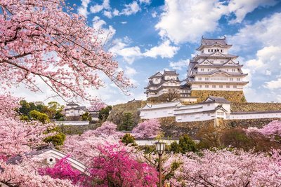 Burg Himeji zur Kirschblüte in Japan