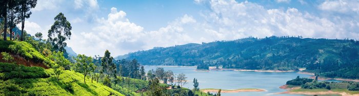 Nuwara Eliya, Sri Lanka
