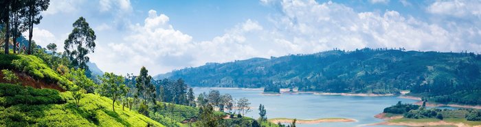 Nuwara Eliya, Sri Lanka