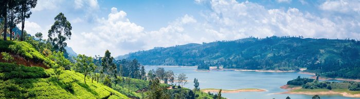 Nuwara Eliya, Sri Lanka