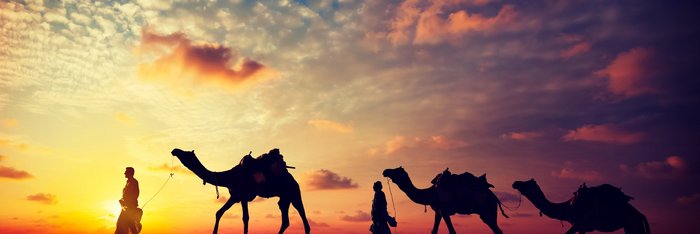 Indien: Rajasthan