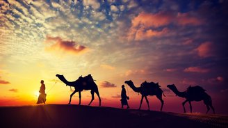 Indien: Rajasthan