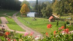 Lichtung mit See im Schwarzwald