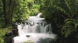 Fluss, Costa Rica