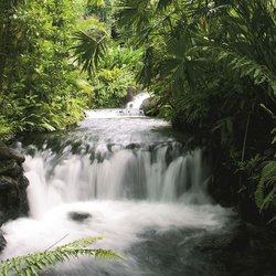 Fluss, Costa Rica