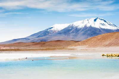 Altiplano Lagune und Vulkan, Bolivien
