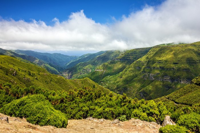Grüne Insel Madeira