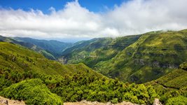 Grüne Insel Madeira