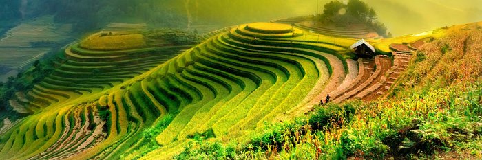 Reisfelder in Laos