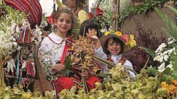 Kinder mit Blumen, Madeira