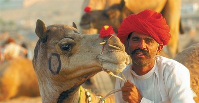 Inder mit Kamel, Indien