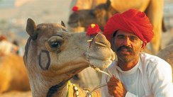 Inder mit Kamel, Indien