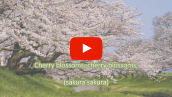 Sakura Sakura Lied mit Playbutton