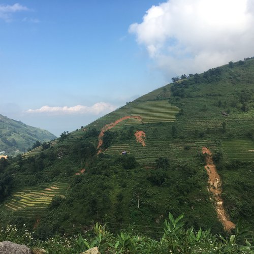Reisfelder, Vietnam