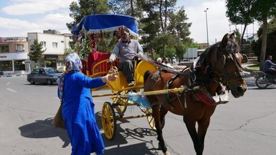 Pferdekutsche in Kashan, Iran