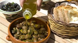 Oliven und Brot, Malta