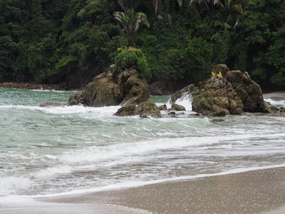 Strand, Costa Rica