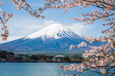Lake Kawaguchiko Fuji mit Kirschbluete, Japan