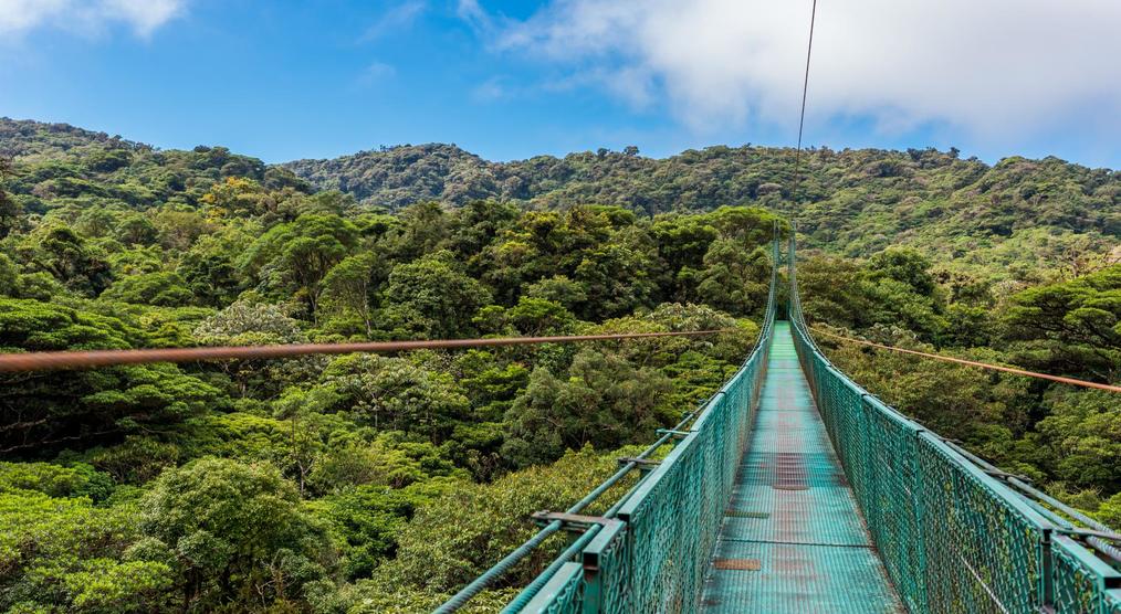 Hängebrücke im Monteverde Nationalpark, Costa Rica