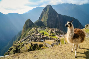 Machu Picchu