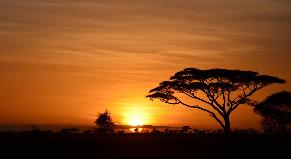 Sonnenaufgang an der Serengeti