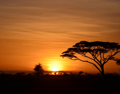 Sonnenaufgang an der Serengeti