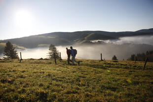 Wanderpaar